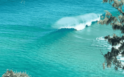 Clean Up Straddie