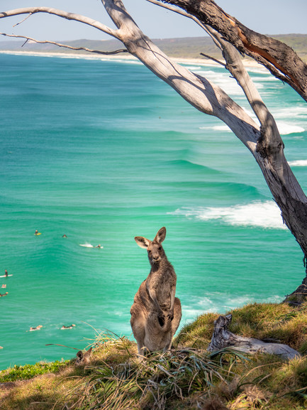 North Gorge Walk